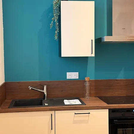 Appartement Cocon Terracotta - Netflix Et Parking Scheibenhard