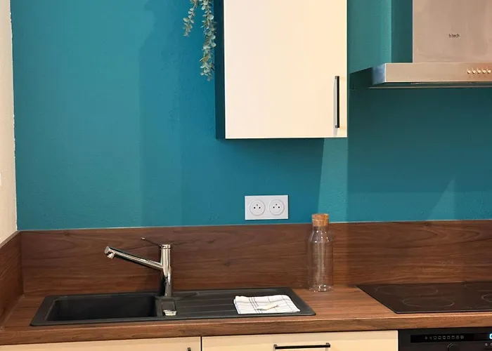 Apartment Cocon Terracotta - Netflix Et Parking Scheibenhard