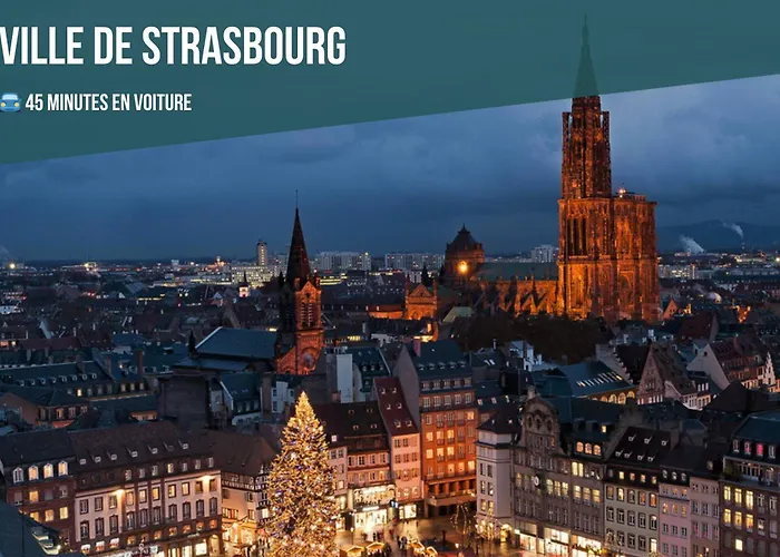 Cocon Terracotta - Netflix Et Parking Scheibenhard